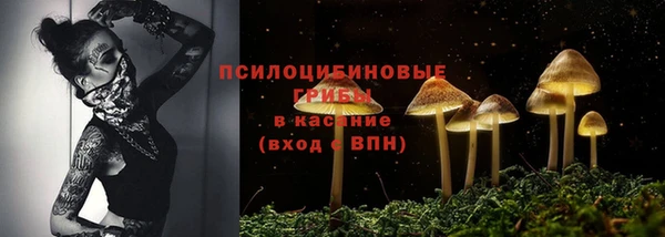 дмт Армянск