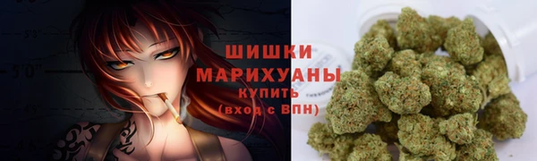 соль ск Арсеньев