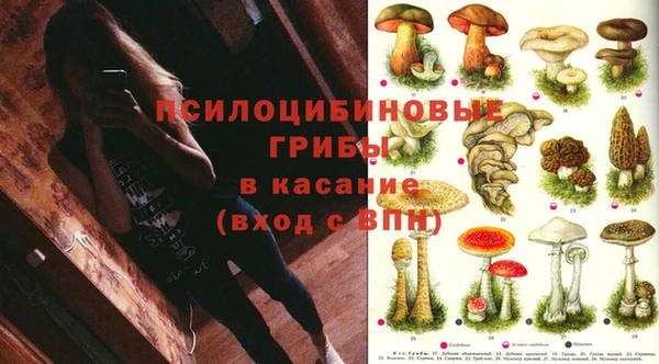 марки nbome Ельня