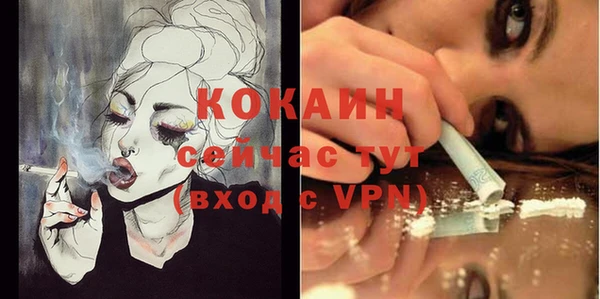 бошки Гусев
