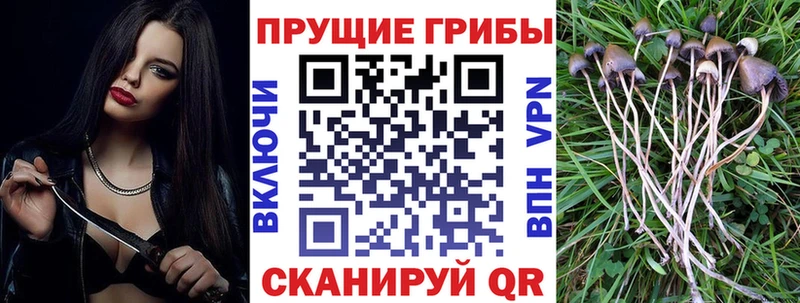 Галлюциногенные грибы MAGIC MUSHROOMS  Малмыж 